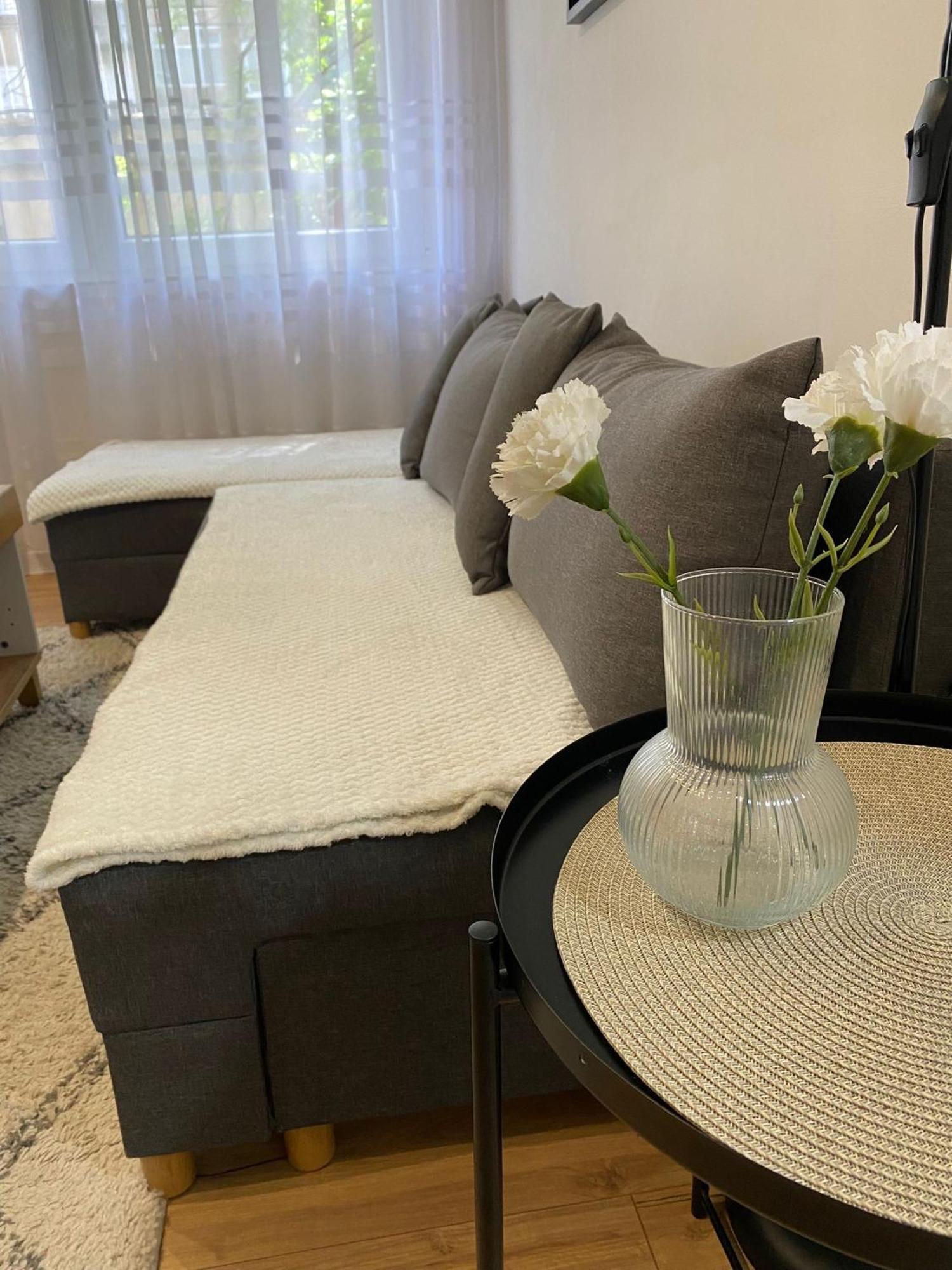 Urban Oasis Apartment Sajmiste 外观 照片